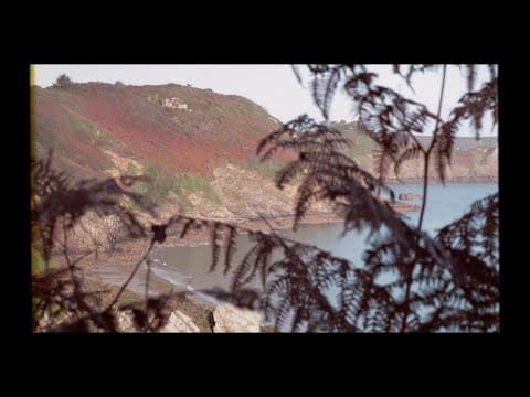 Amber Day - Heal in Time